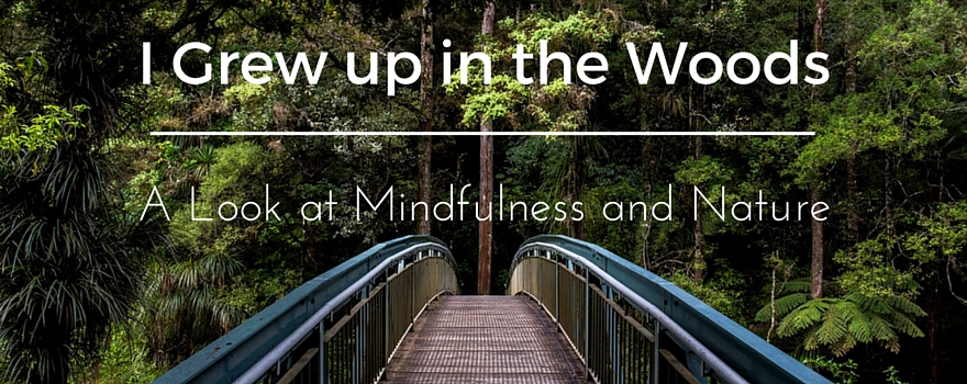 up in the Woods: A Look at Mindfulness | GVI