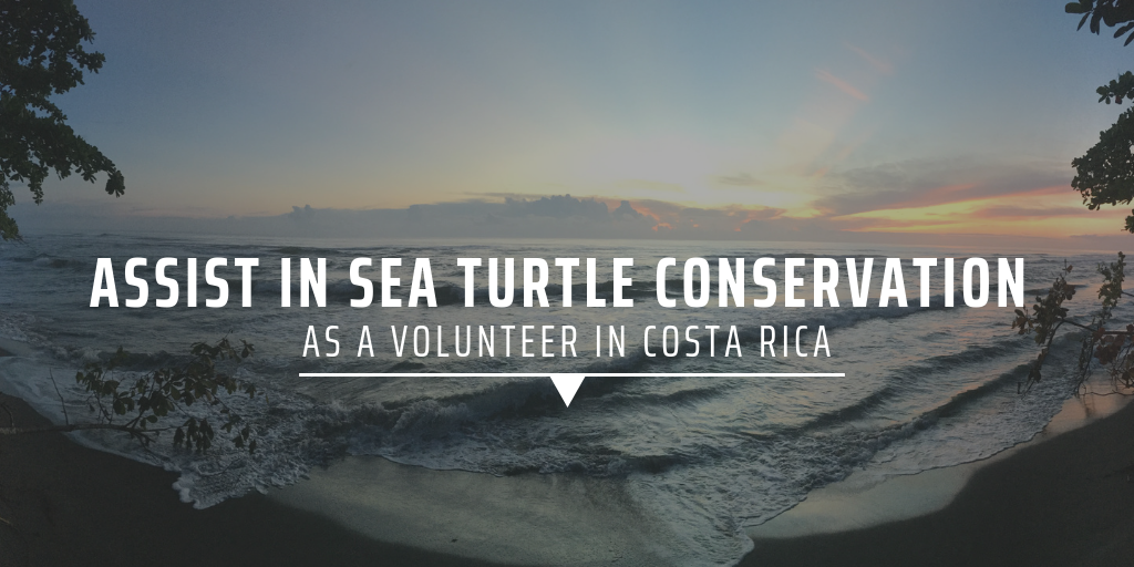 Costa Rica Volunteer