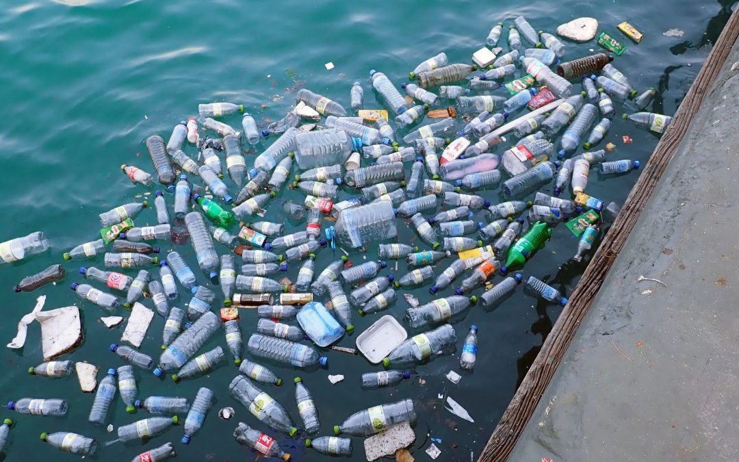 Plastic Pollution in Our Oceans is Choking Marine Life… And Us
