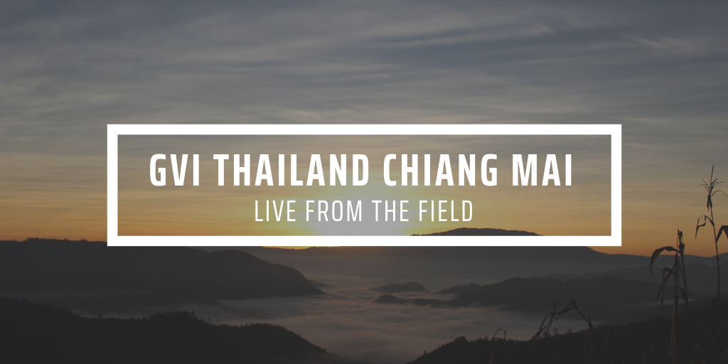 GVI Chiang Mai header image