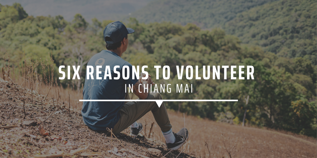 Six reasons to volunteer in Chiang Mai