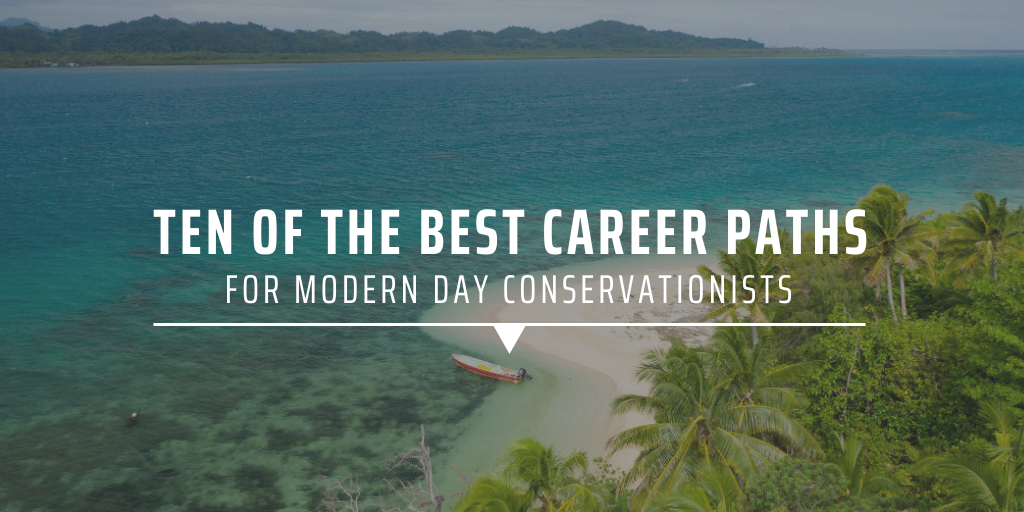 Ten of the best career paths for modern day conservationists