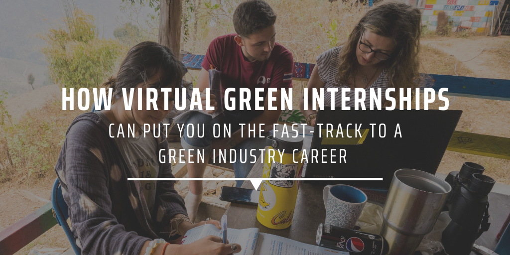 How virtual green internships can put you on the fast-track to a green industry career