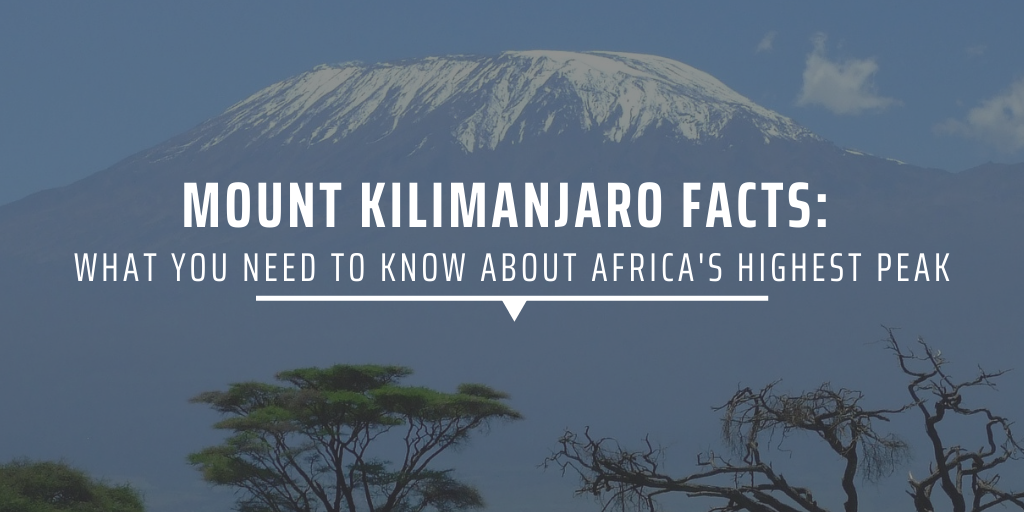 Mount Kilimanjaro facts: What you need to know about Africa's highest peak