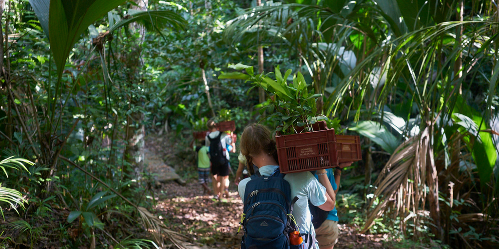 Conserve An Island Paradise Island In Seychelles