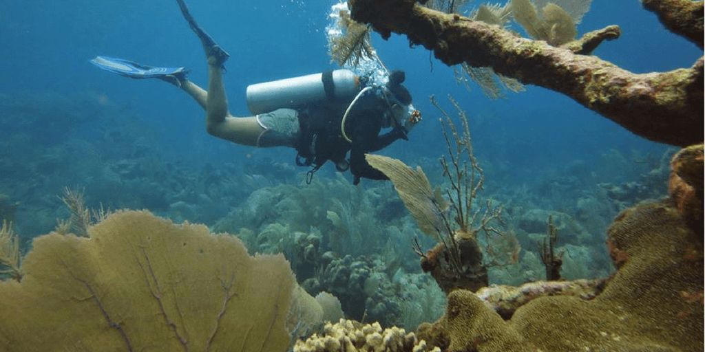 adventure travel gap year