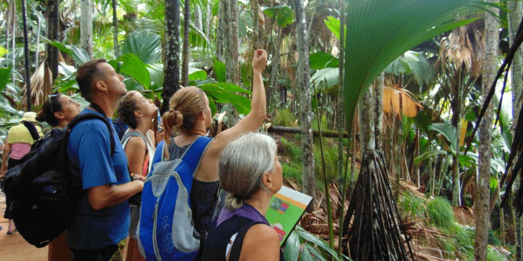 Study Abroad Gap Year