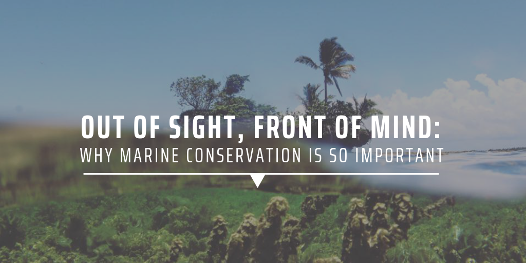 marine conservation