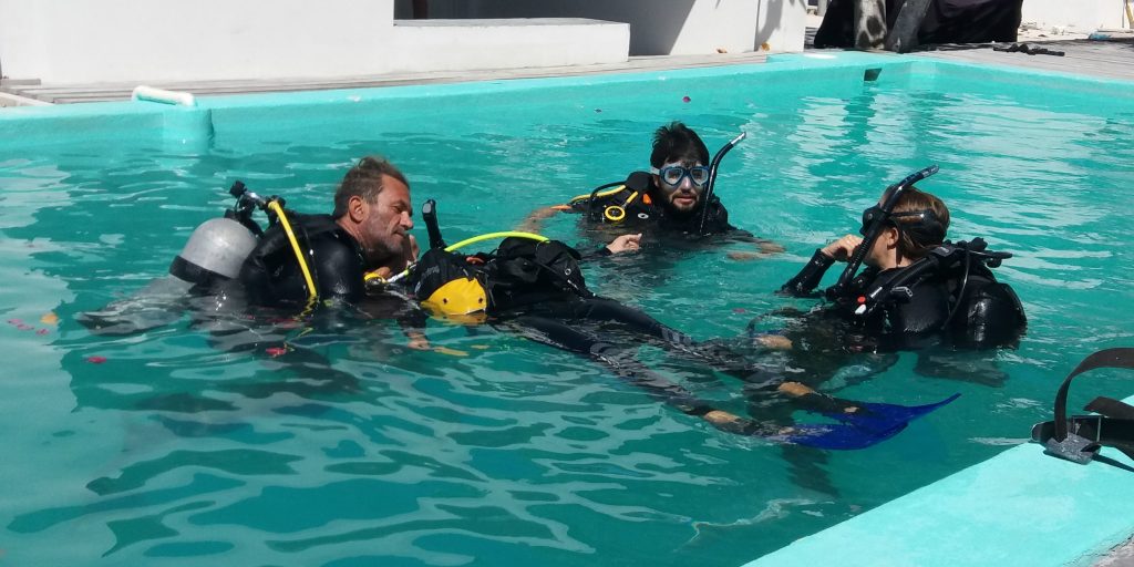 Eight scuba diving jobs you can get as a PADI pro GVI USA