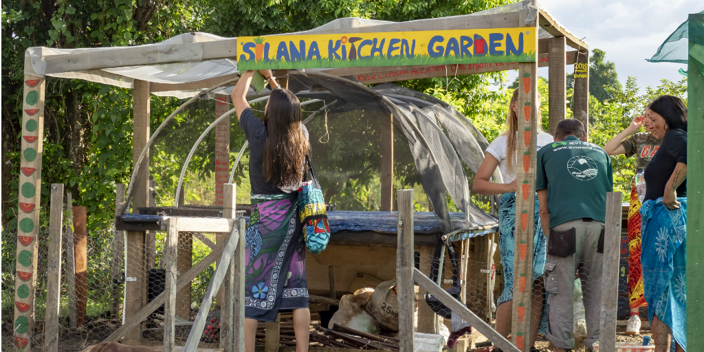 Los voluntarios de GVI ayudan a la comunidad de Dawasamu a establecer un jardín de alimentos.