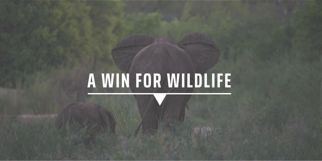 A win for wildlife