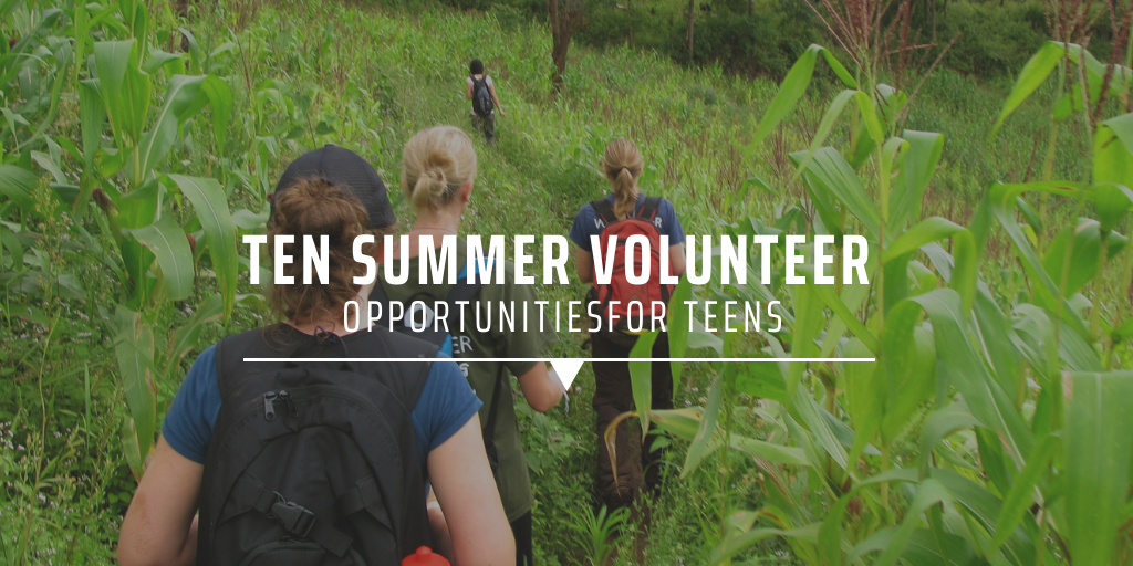 Ten summer volunteer opportunities for teens