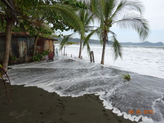 DSC00084