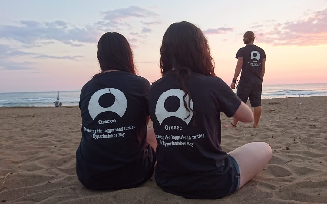 My time interning with turtles in Greece – testimonial by Imogen Manley