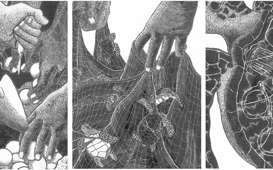 The Art/Science of Zoological Medicine