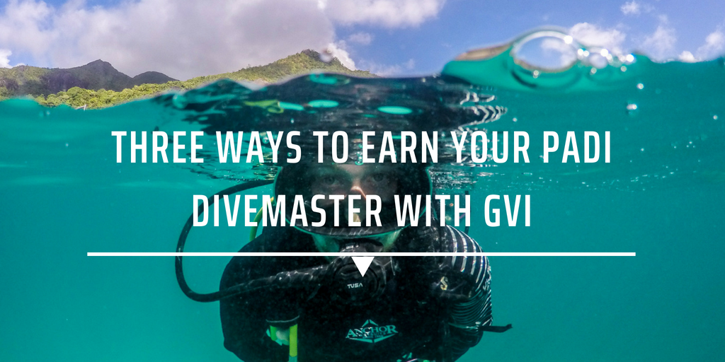 Three ways to earn your PADI Divemaster with GVI