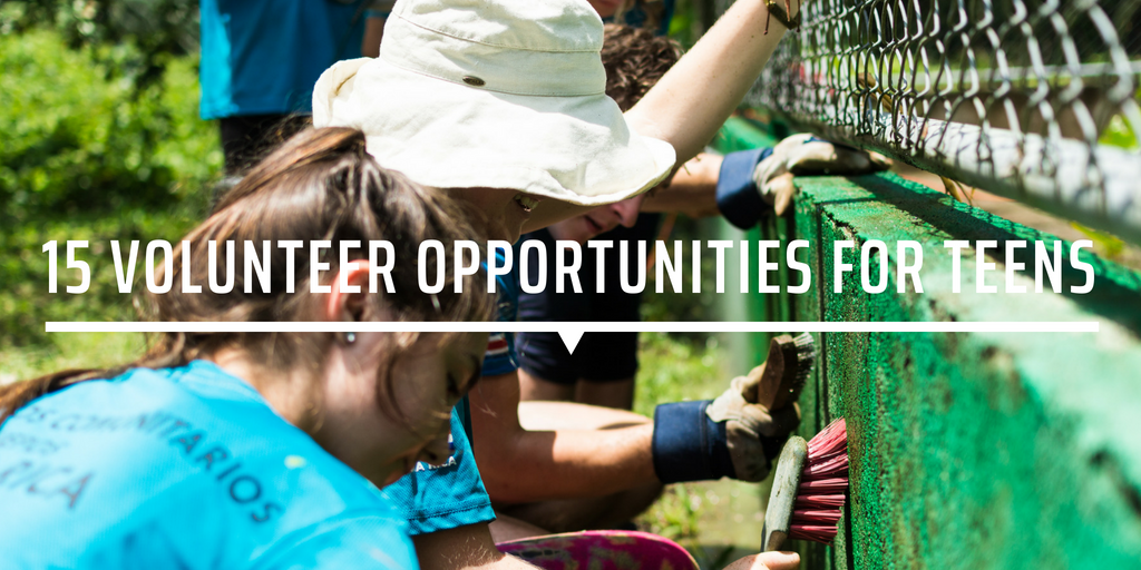 15 Volunteer Opportunities For Teens