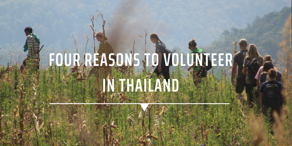 Four reasons to volunteer in Thailand