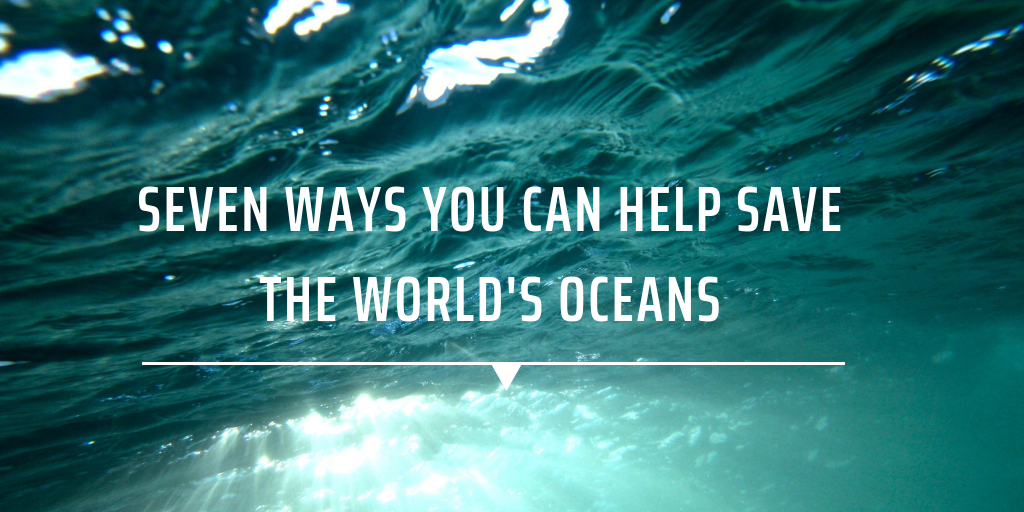 Seven ways you can help save the world’s oceans