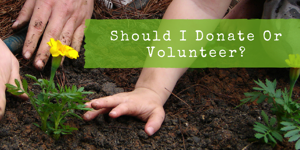 Is It Better To Give To A Charity Or Volunteer?