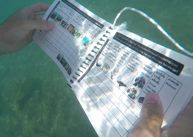 Stunning Snorkelling: Coral Reef Surveys on the Andaman Coast
