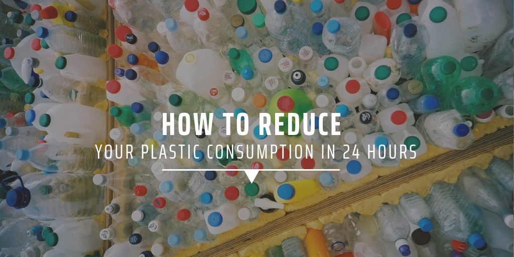 How to reduce your plastic consumption in 24 hours