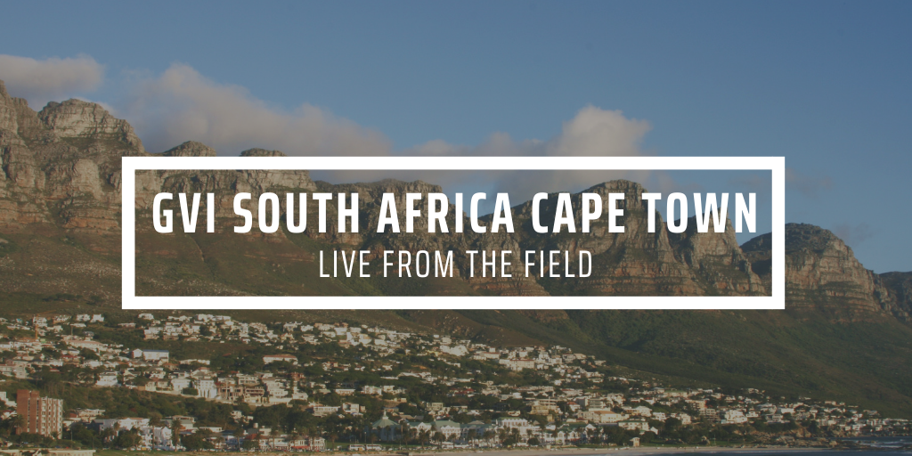 The experience of working with GVI Cape Town