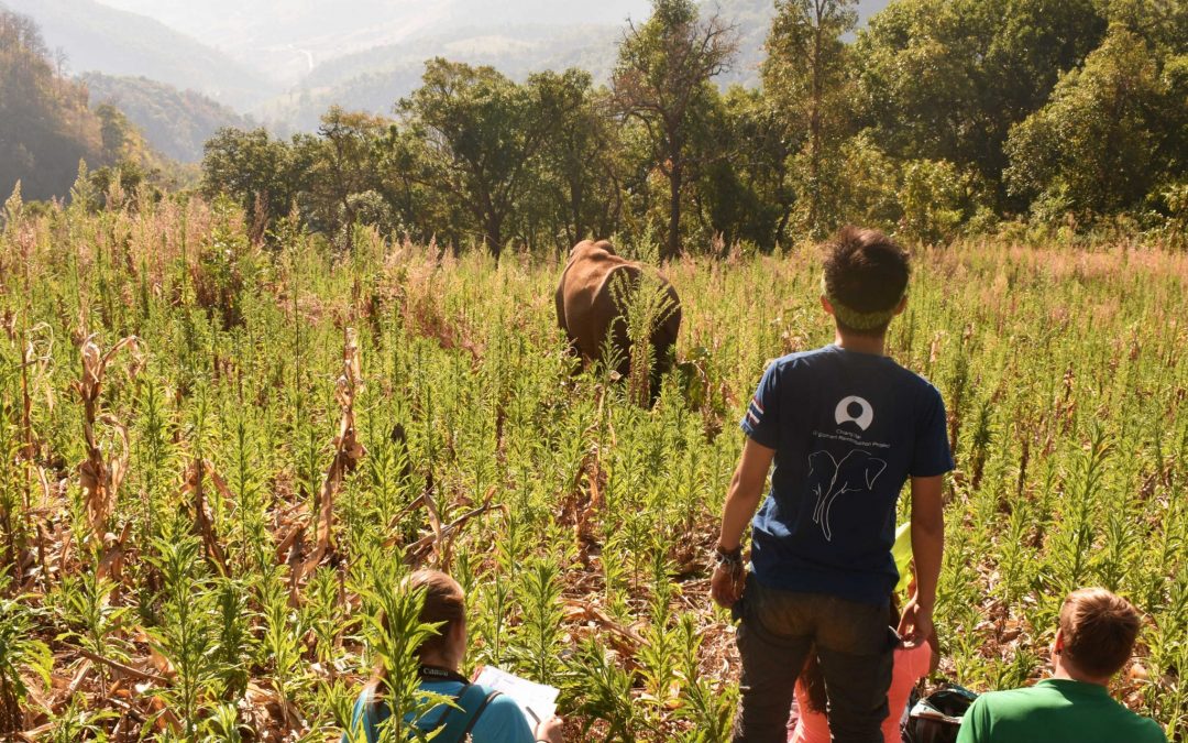 The amazing travel opportunities in Northern Thailand
